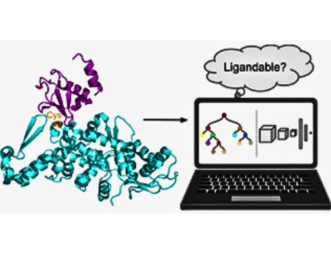 Picture illustrating protein bioinformatics