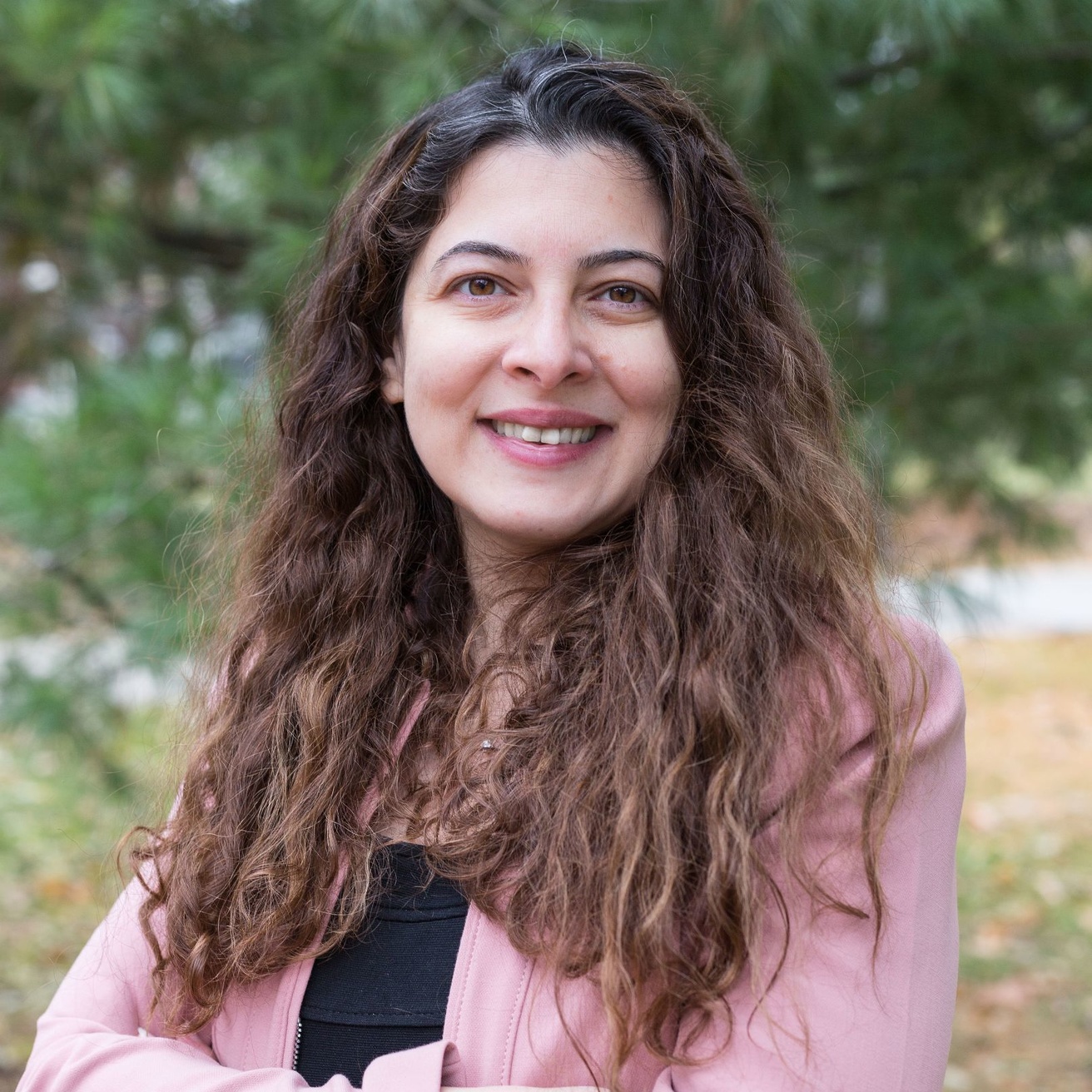 Dr. Nicole Hashemi, Associate Professor, Department of Mechanical Engineering, Iowa State University